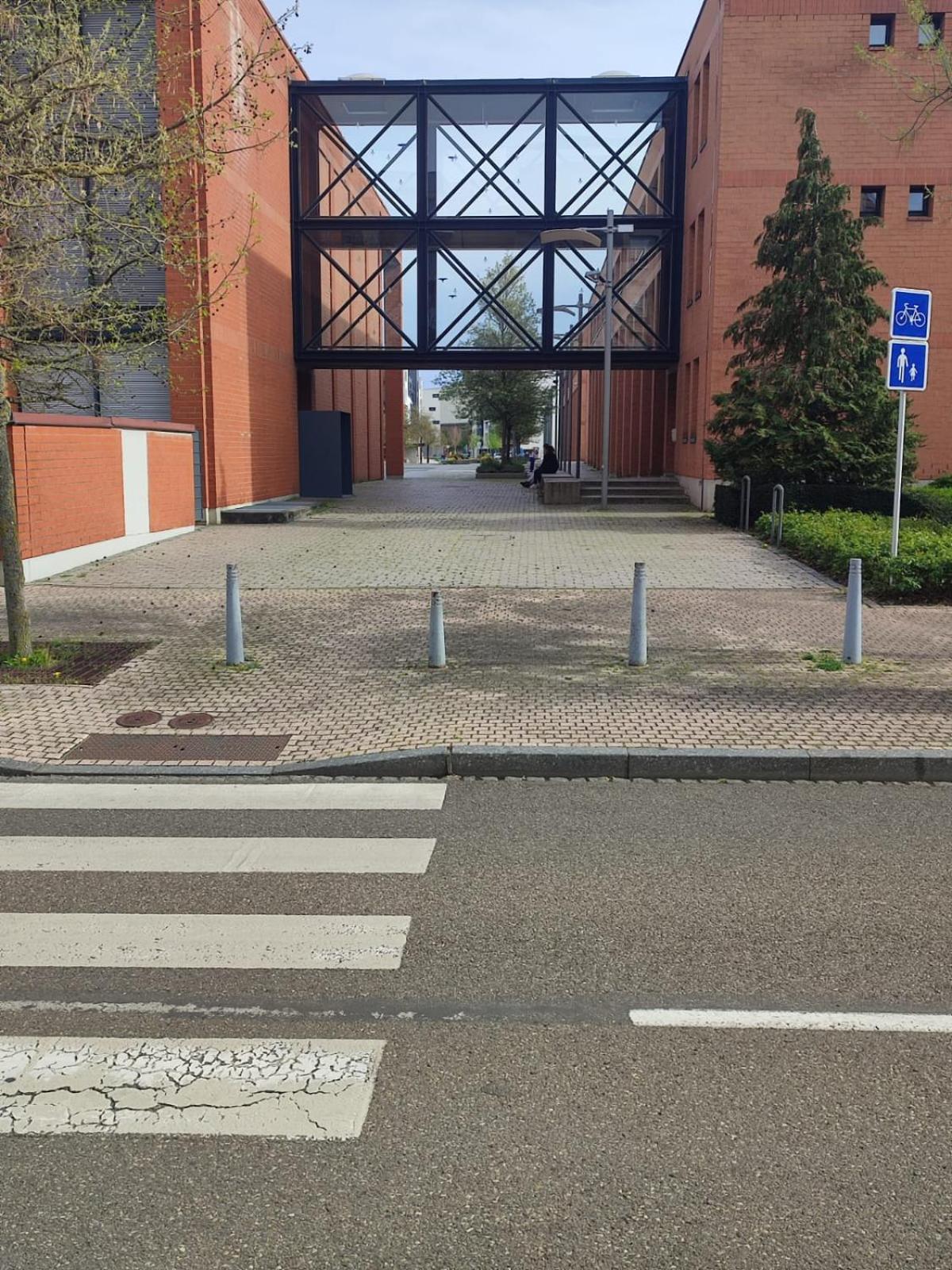 Douillet-Kanamappart-Euroairport Apartamento Saint-Louis  Exterior foto